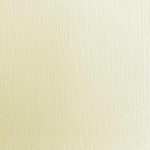 ANKAWALL ANKAPRO DUVAR KAĞIDI 2512-5 (16,5m2)