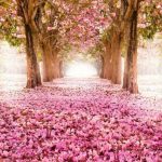 CANVAS TABLO 428 (100*75cm)