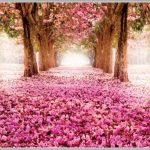 POSTER 851 P4 (2.54*1.84cm)