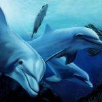 3D DENİZALTI POSTER KİŞİYE ÖZEL BASKI 12