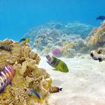 3D DENİZALTI POSTER KİŞİYE ÖZEL BASKI 141