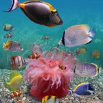 3D DENİZALTI POSTER KİŞİYE ÖZEL BASKI 63