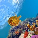 3D DENİZALTI POSTER KİŞİYE ÖZEL BASKI 07