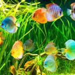 3D DENİZALTI POSTER KİŞİYE ÖZEL BASKI 82