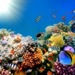 3D DENİZALTI POSTER KİŞİYE ÖZEL BASKI 09