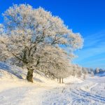 3D KIŞ MANZARA POSTER KİŞİYE ÖZEL BASKI 11