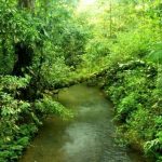 3D MANZARA POSTER KİŞİYE ÖZEL BASKI 113