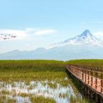 3D MANZARA POSTER KİŞİYE ÖZEL BASKI 37