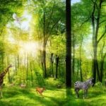 3D PANORAMIK POSTER KİŞİYE ÖZEL BASKI 02