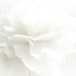 3D SOYUT POSTER KİŞİYE ÖZEL BASKI 37