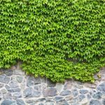 3D TAŞ GÖRSEL POSTER KİŞİYE ÖZEL BASKI 82