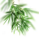 3D YEŞİLLİK POSTER KİŞİYE ÖZEL BASKI 11