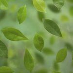 3D YEŞİLLİK POSTER KİŞİYE ÖZEL BASKI 14