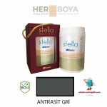 BİANCA STELLA DÖNÜŞÜM BOYASI 1 LT (ANTRASİT GRİ)